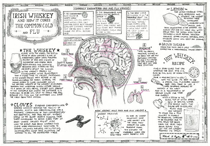 How Whiskey Cures the common cold